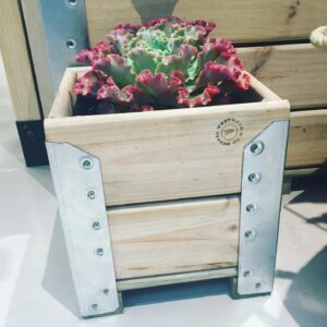 Small Square Box Planter